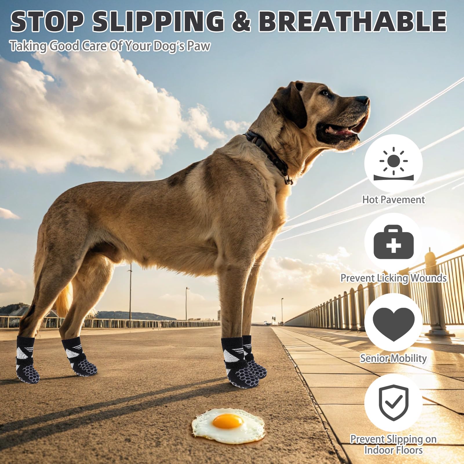 KOOLTAIL dog socks providing paw protection from stones and glass on outdoor strolls.