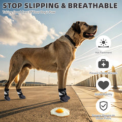 KOOLTAIL dog socks providing paw protection from stones and glass on outdoor strolls.