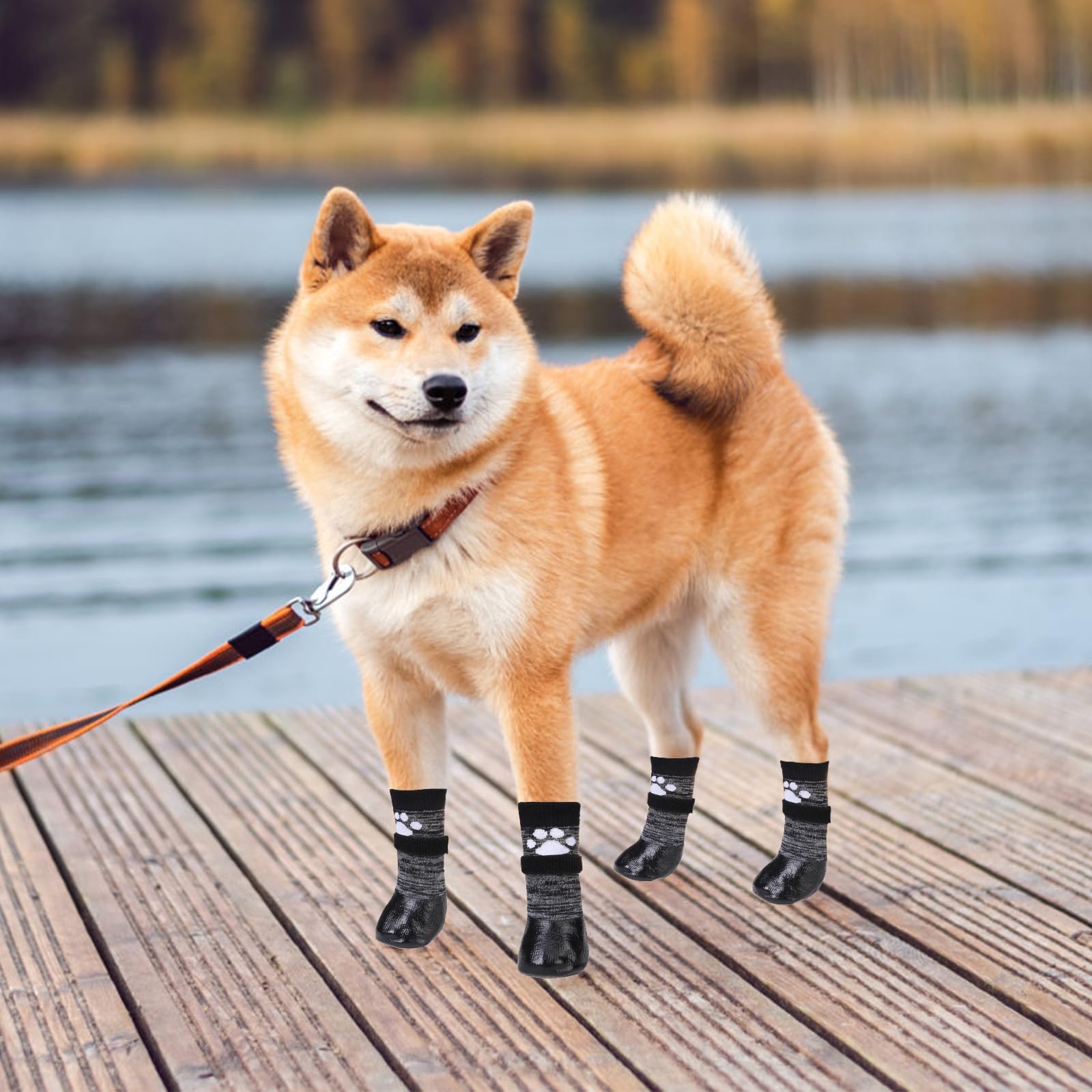 KOOLTAIL paw protection on stones and hot pavement for dogs