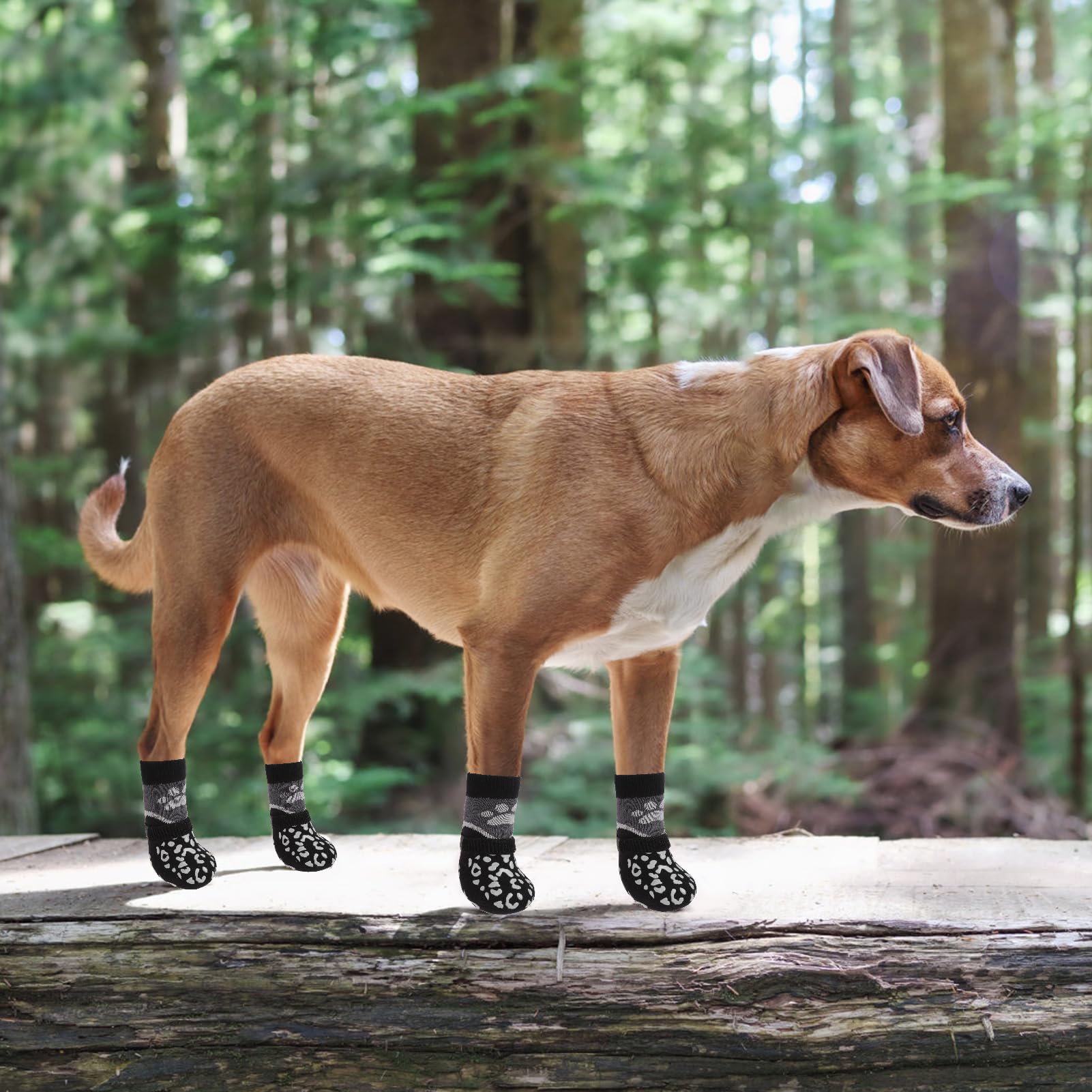 KOOLTAIL dog socks prevent paw damage and furniture scratching.