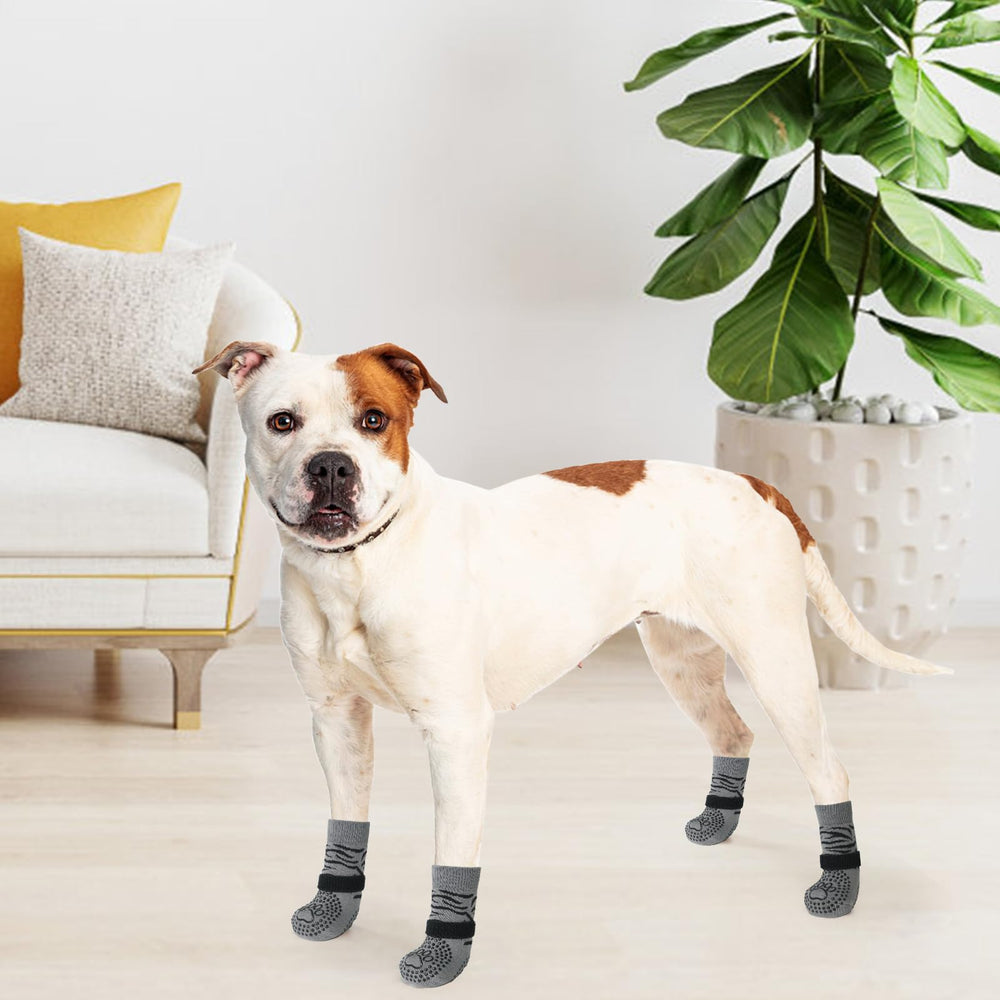 KOOLTAIL dog socks on stairs demonstrating traction use