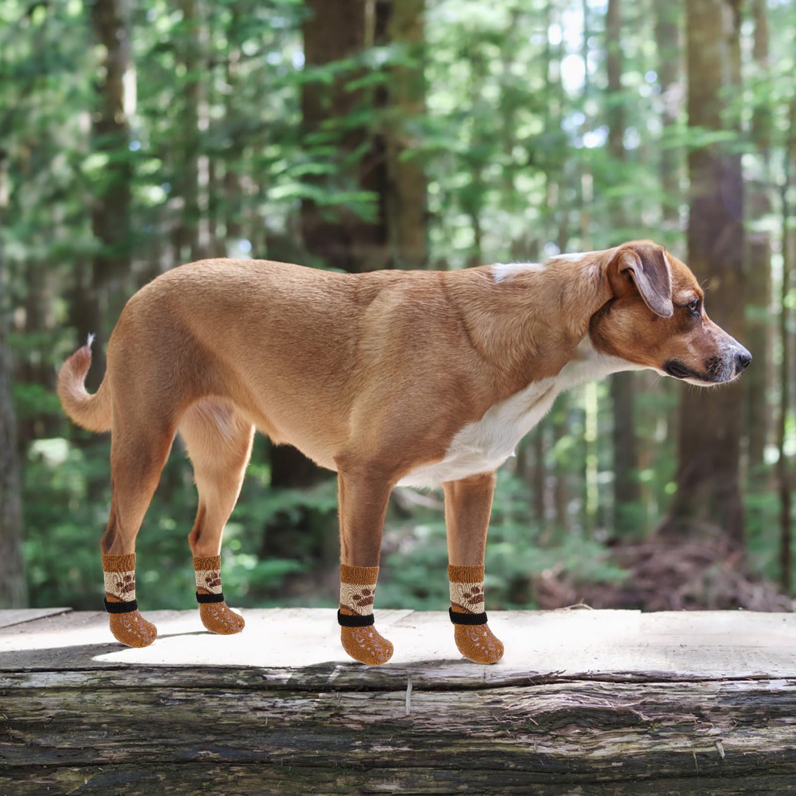 KOOLTAIL dog socks offer warmth and protection against cold or hot floors
