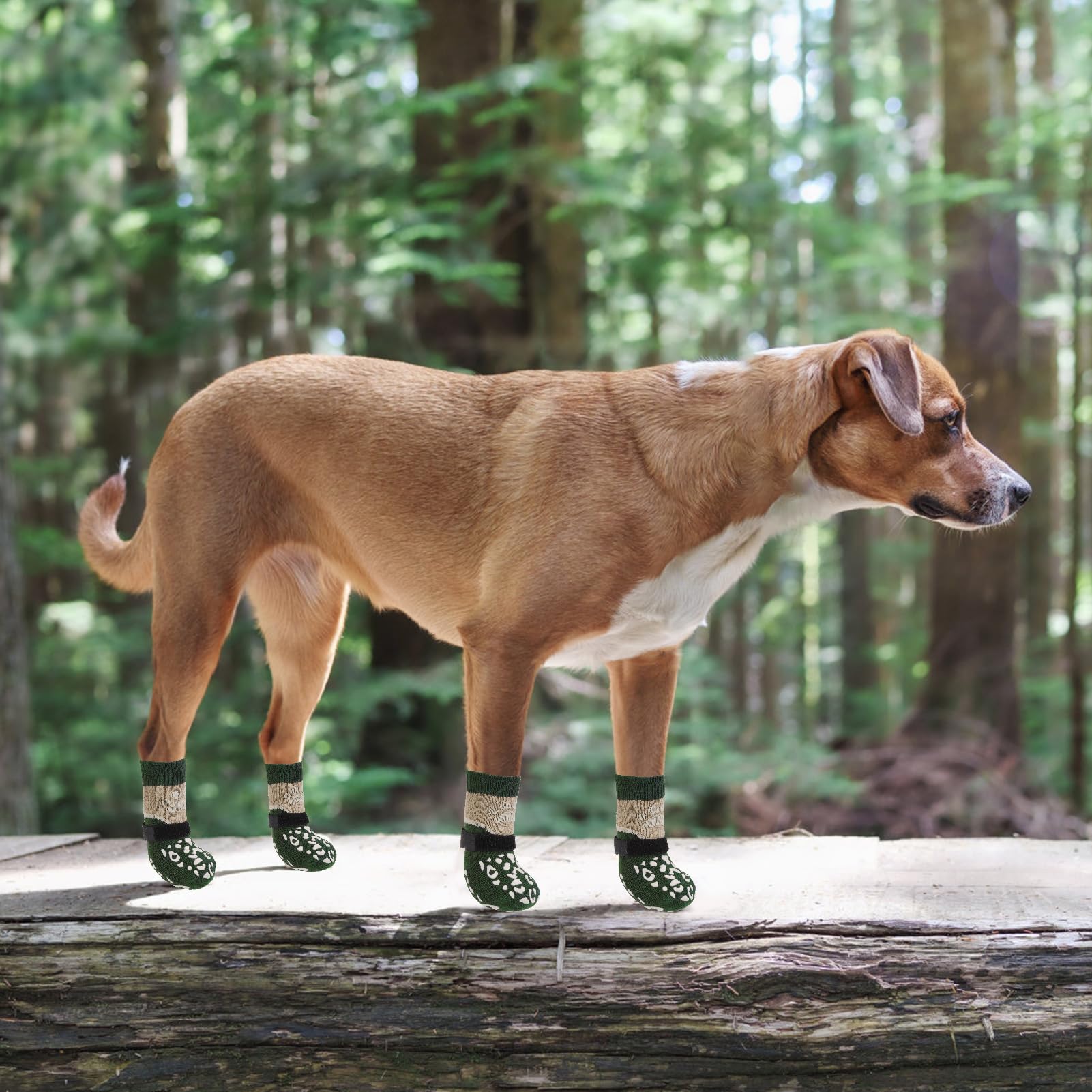 KOOLTAIL dog socks available in multiple sizes for small to senior dogs