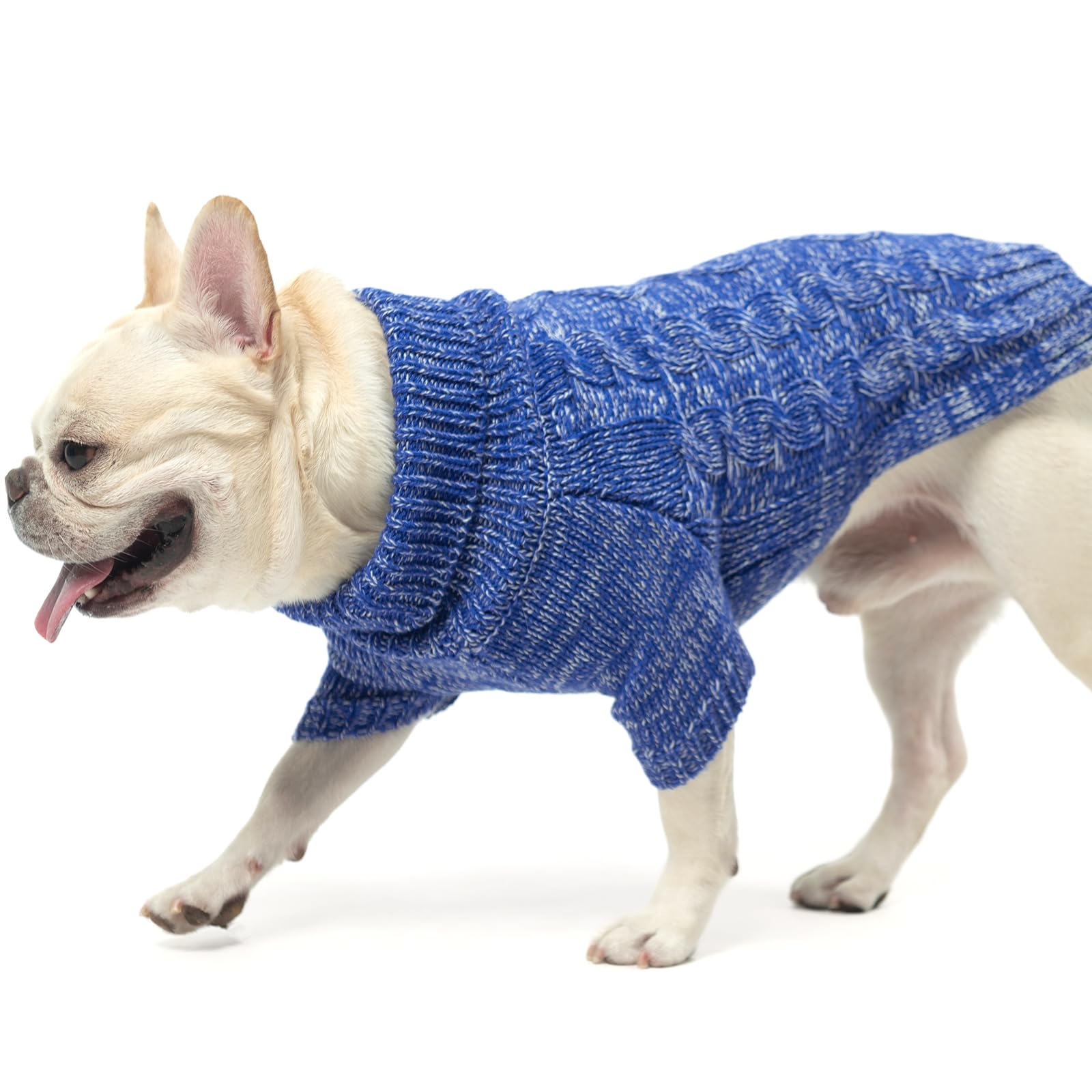 KOOLTAIL dog sweater during winter outdoor walk demonstrates wind protection.