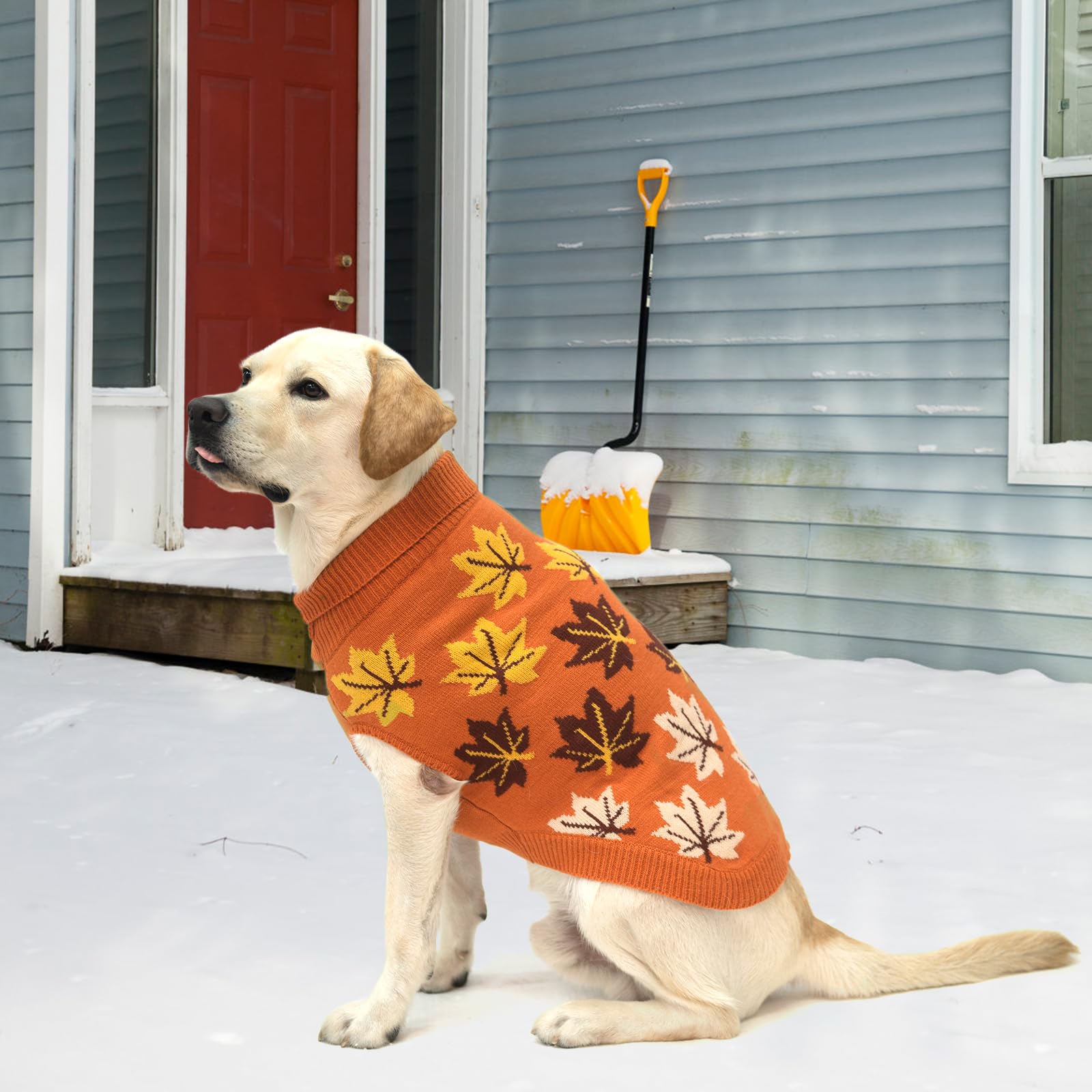 KOOLTAIL autumn maple motif outfit ideal for photos and events