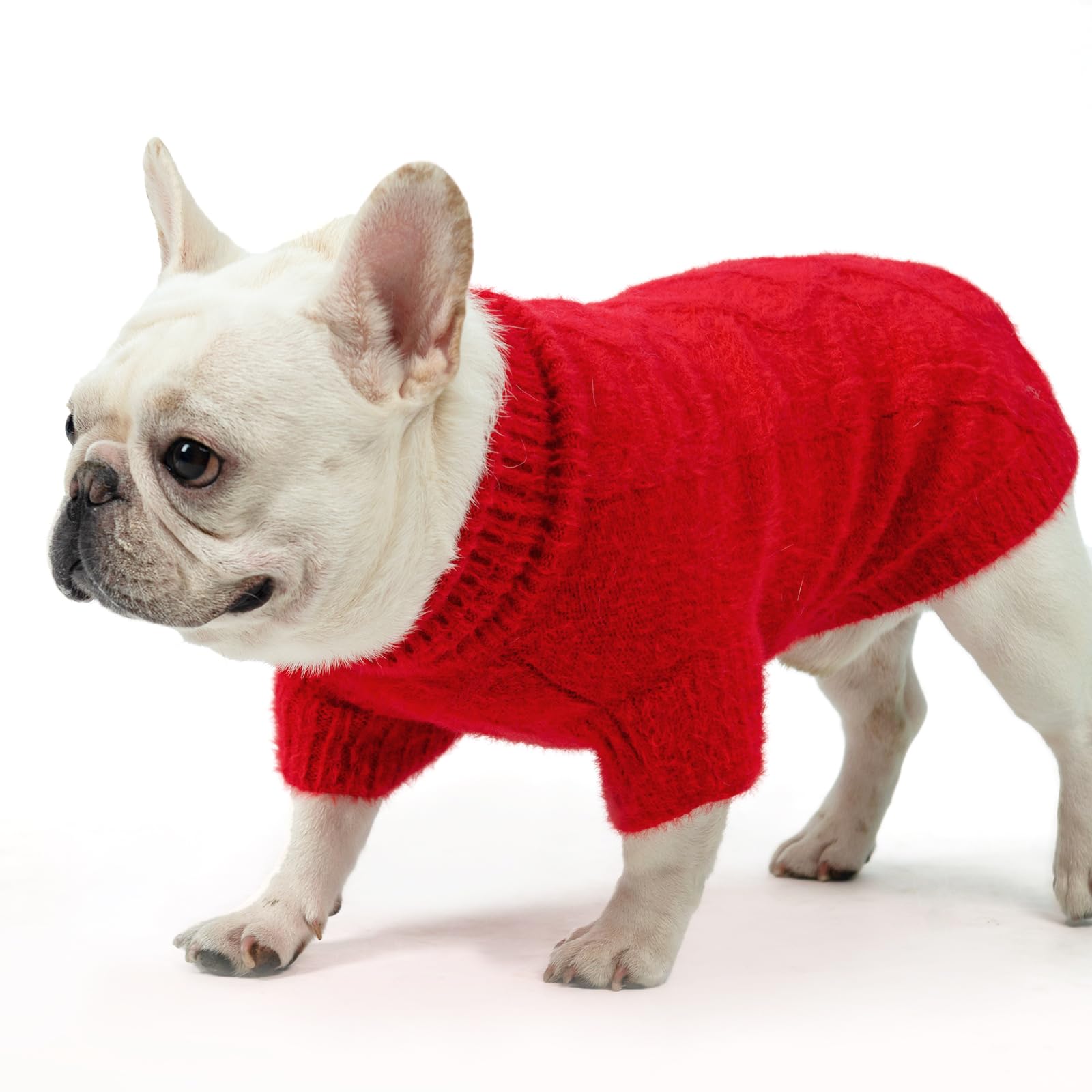 KOOLTAIL dog sweater outdoors in winter for walks and photos