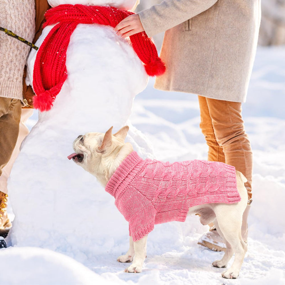 KOOLTAIL dog sweater outdoor-winter wear demonstrates cozy protection in cold weather.