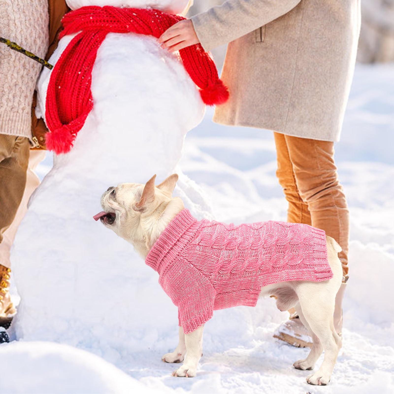 KOOLTAIL breed-fit display for bulldog and yorkie shows versatile sizing.