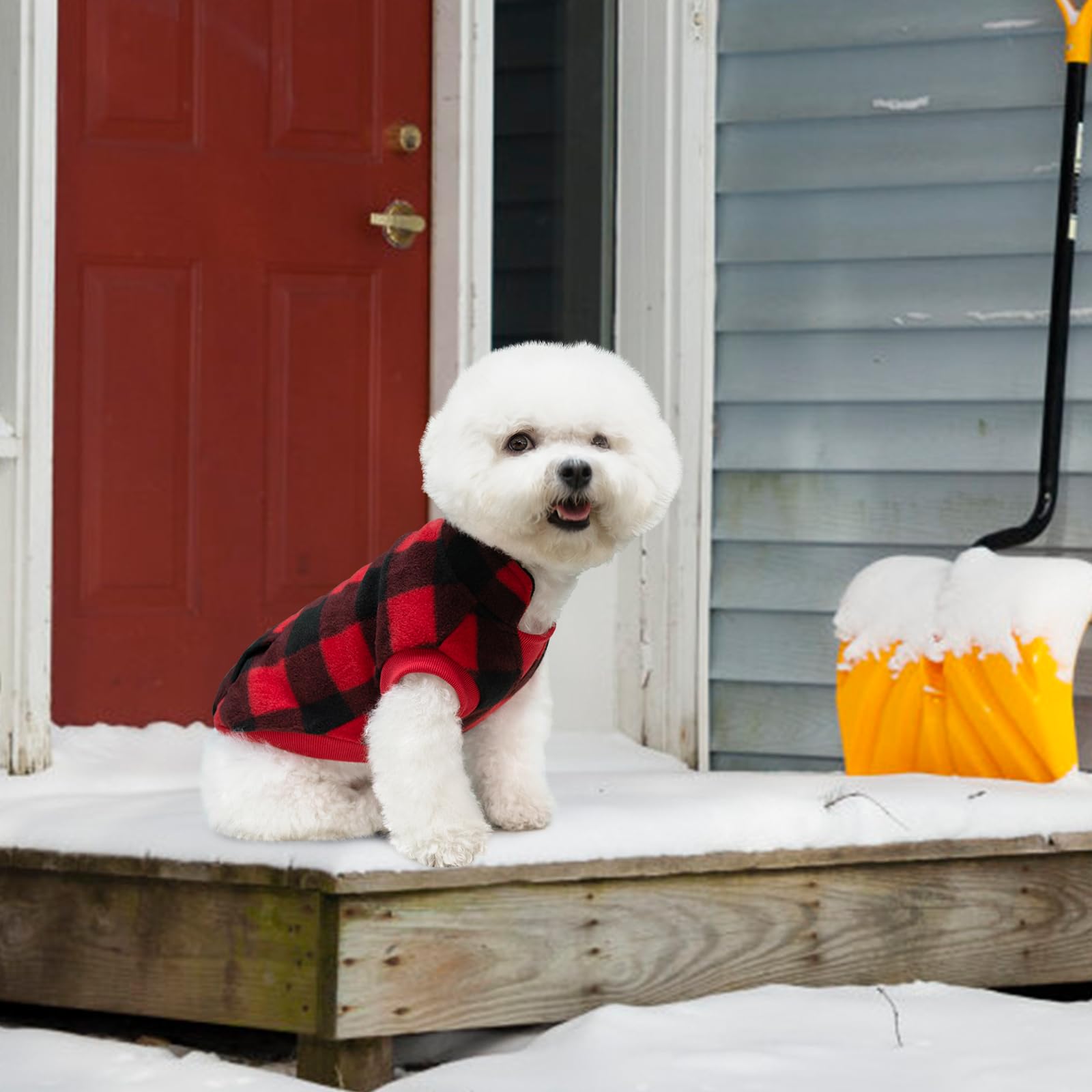 KOOLTAIL dog walking party outdoor wear illustrates versatile daily use