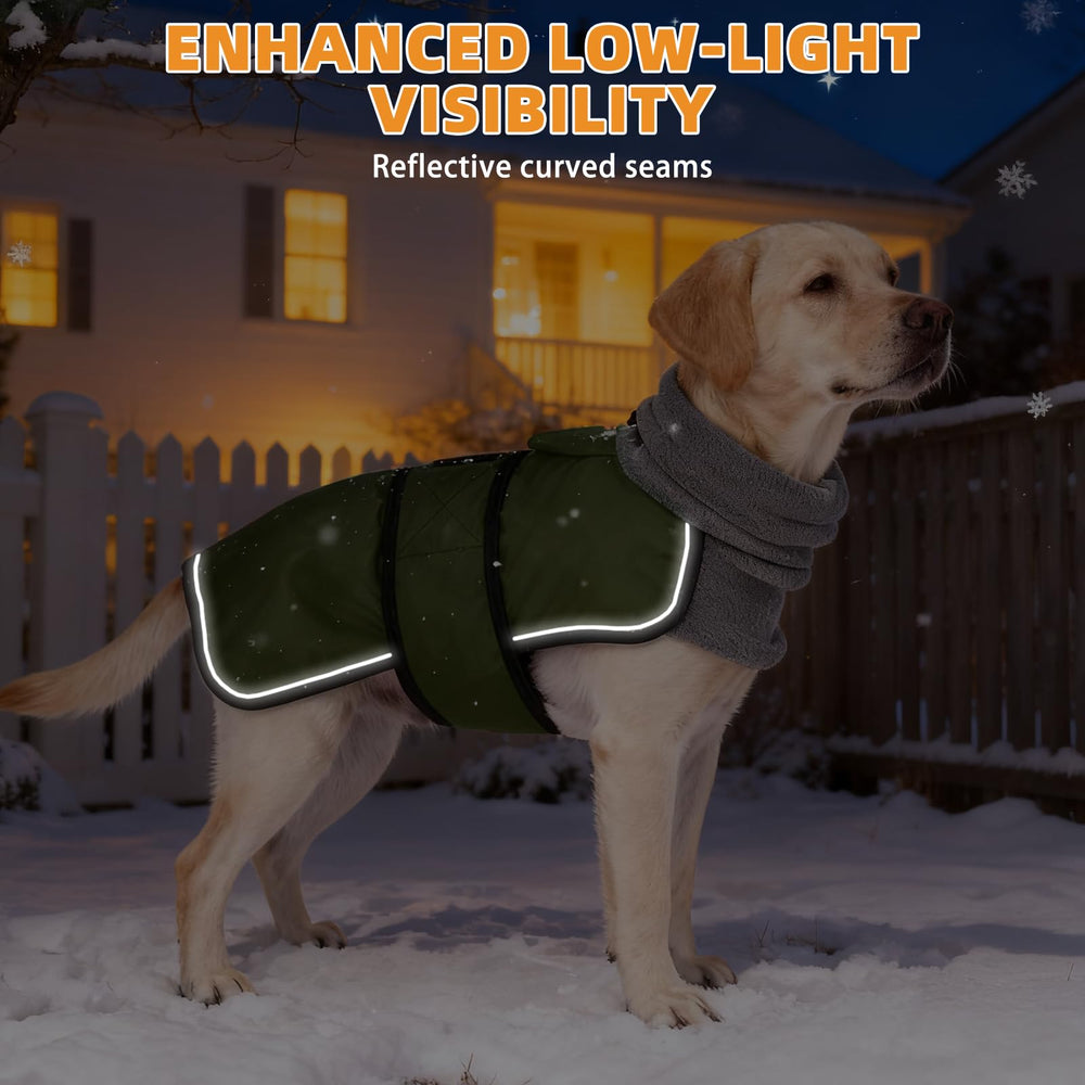 KOOLTAIL dog wearing coat in snow illustrates warmth and protection