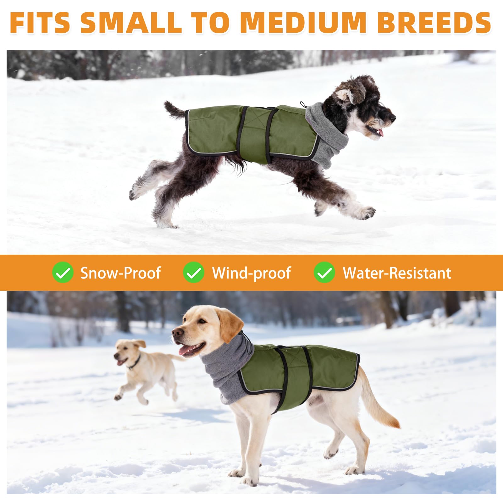 KOOLTAIL coat close-up shows high collar shielding drafts