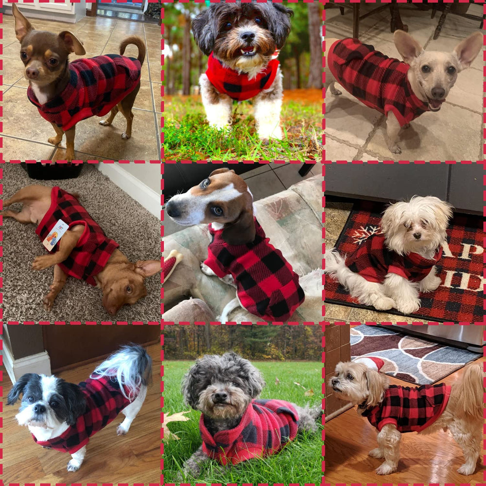 KOOLTAIL dog winter jacket neck elastic ribbon showcases comfortable snag free wear