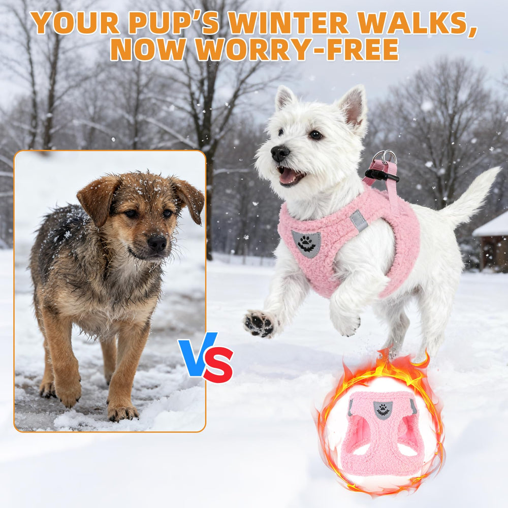 KOOLTAIL dual D-rings enable secure leash attachment and control.