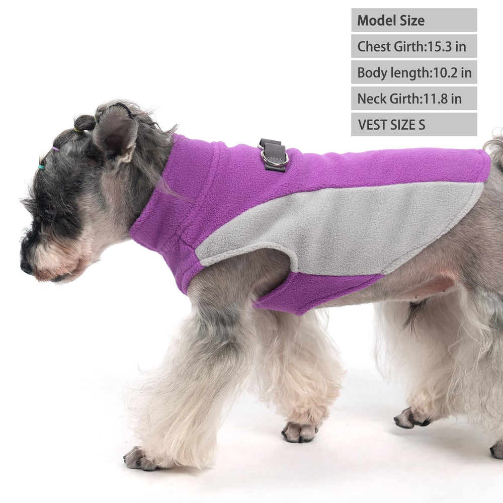 KOOLTAIL dual d-ring with leather reinforcement enables secure leash attachment
