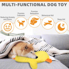 KOOLTAIL duck toy pocket heartbeat compartment visible and secure