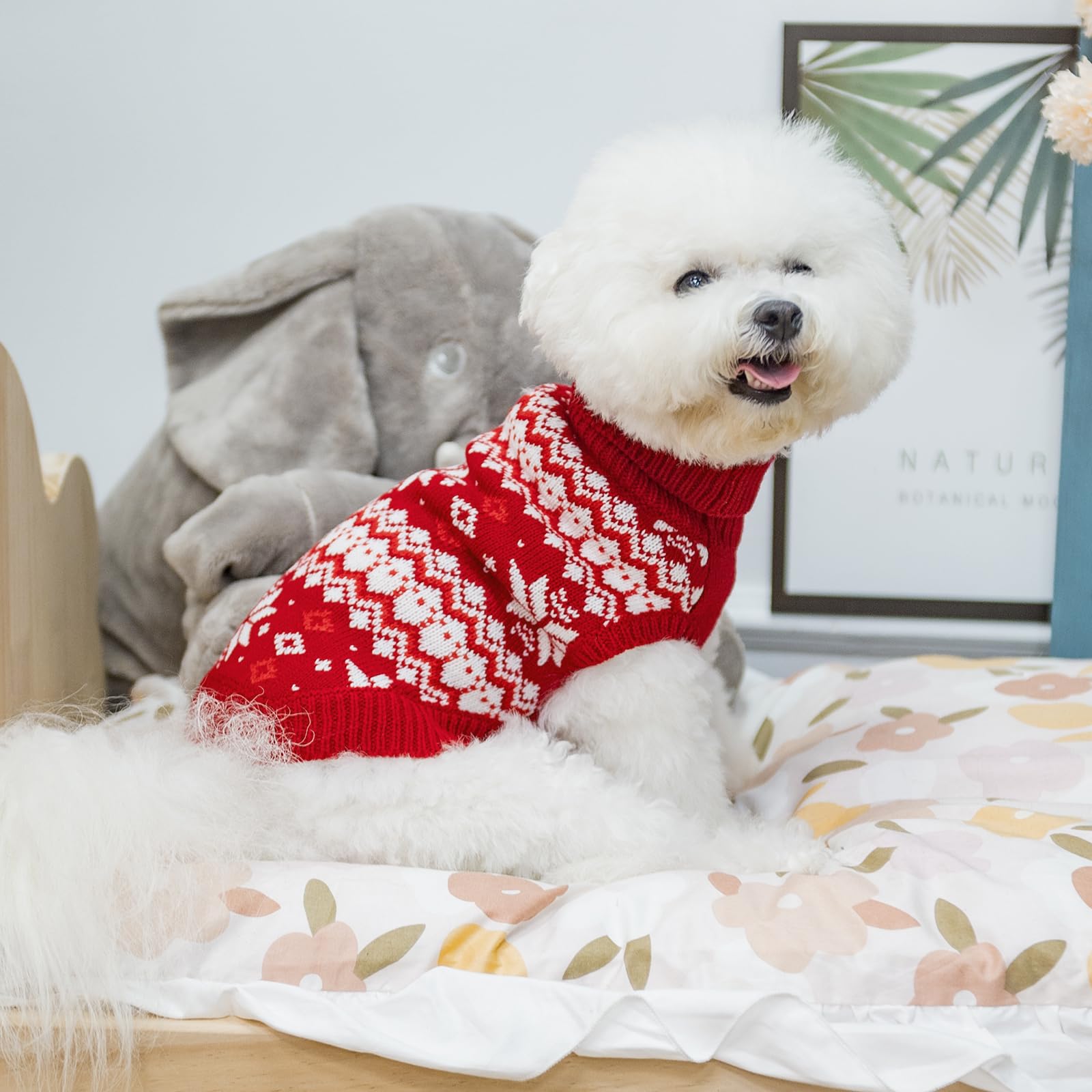 KOOLTAIL easy-to-wear dog sweater showcasing simple slip-on design for everyday use.