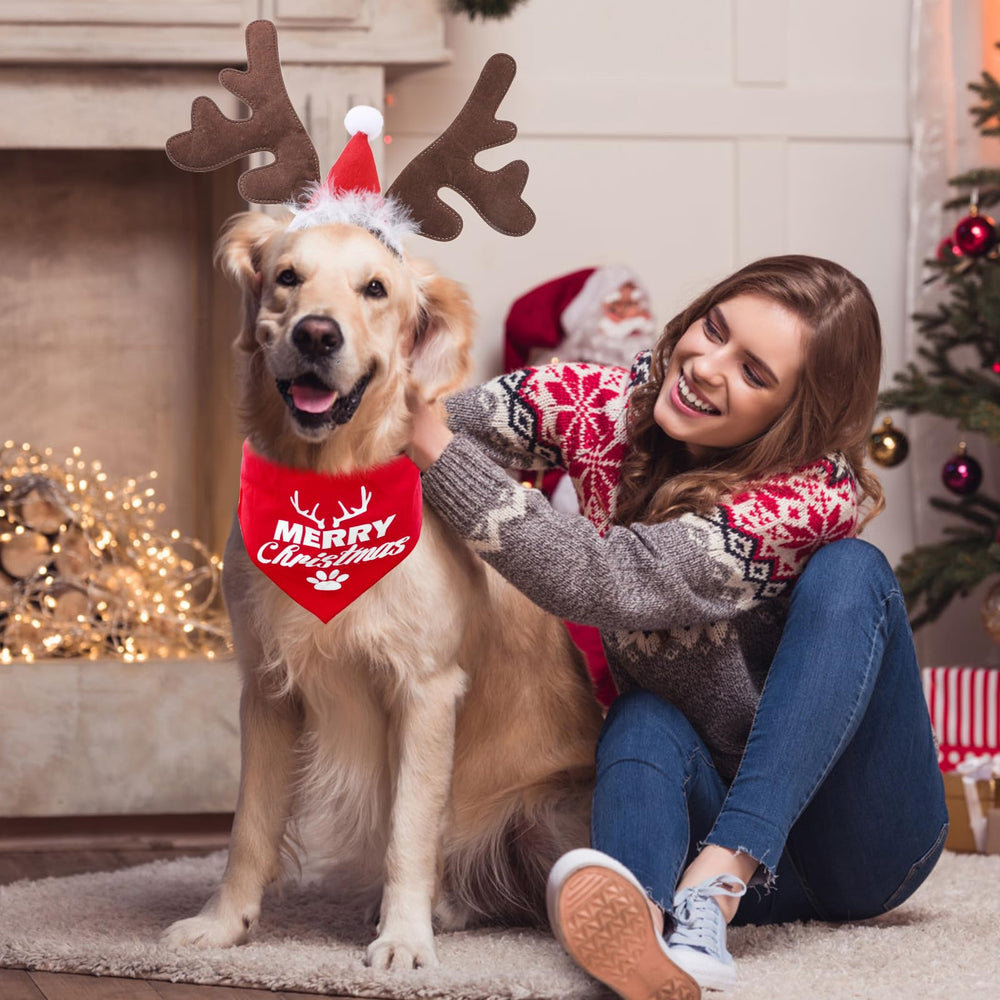 KOOLTAIL festive pet costume ensemble for parties and events
