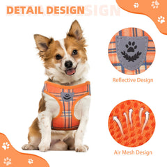 KOOLTAIL reflective straps harness demonstrates night safety during walks.