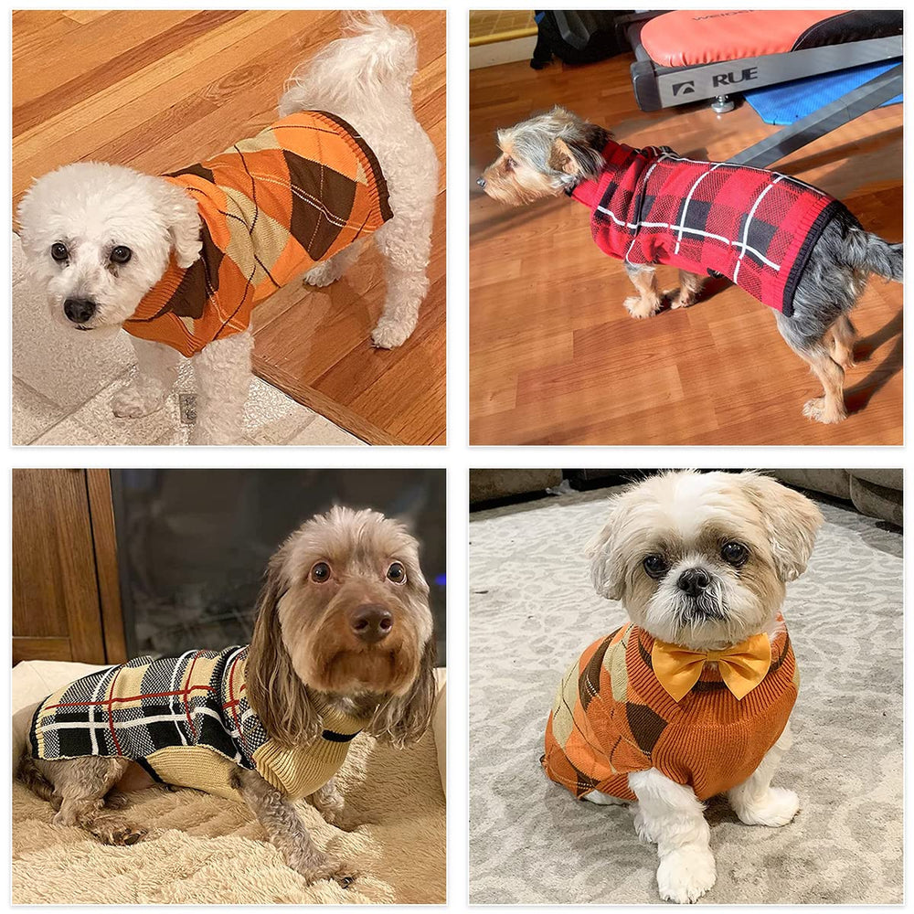 KOOLTAIL holiday-ready dog sweater on model highlights festive versatility