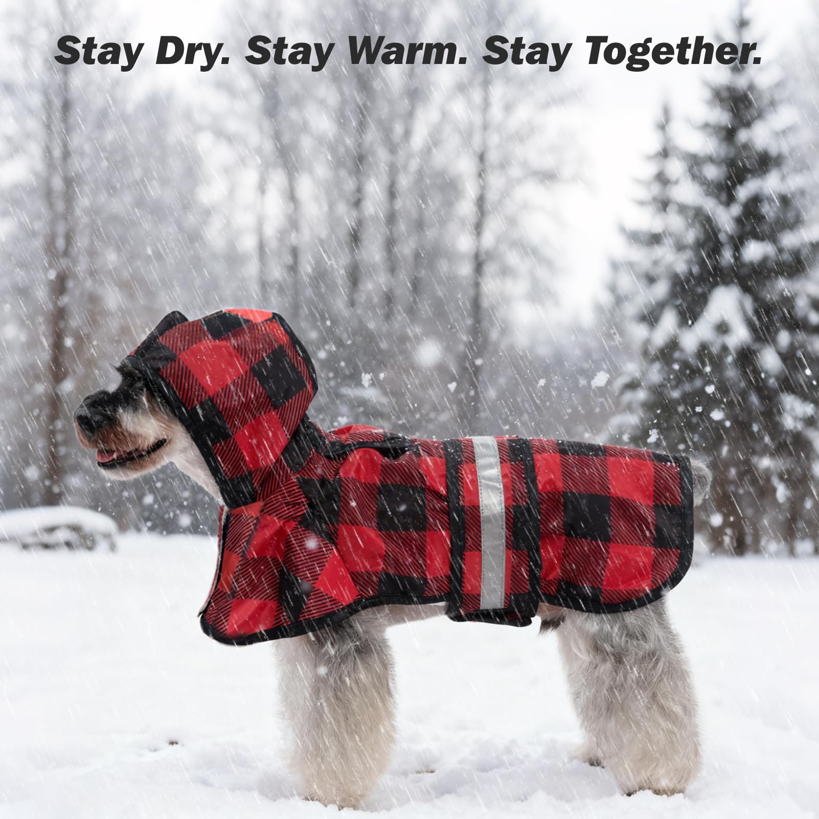 KOOLTAIL hypoallergenic-safe-material reduces irritation for sensitive-skinned pets.