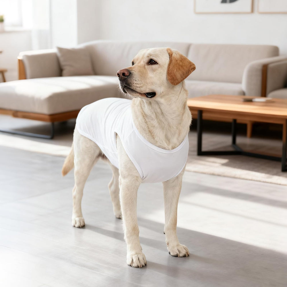 KOOLTAIL large dog vest top pack, easy wardrobe rotation and lower hair exposure