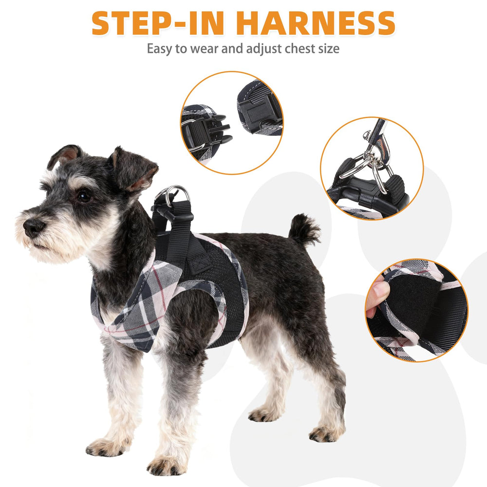 KOOLTAIL leash beige 1.5m heavy-duty for reliable daily walks