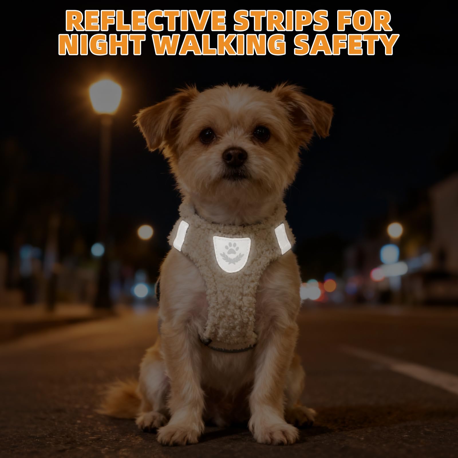 KOOLTAIL lightweight harness and leash set for everyday park strolling.