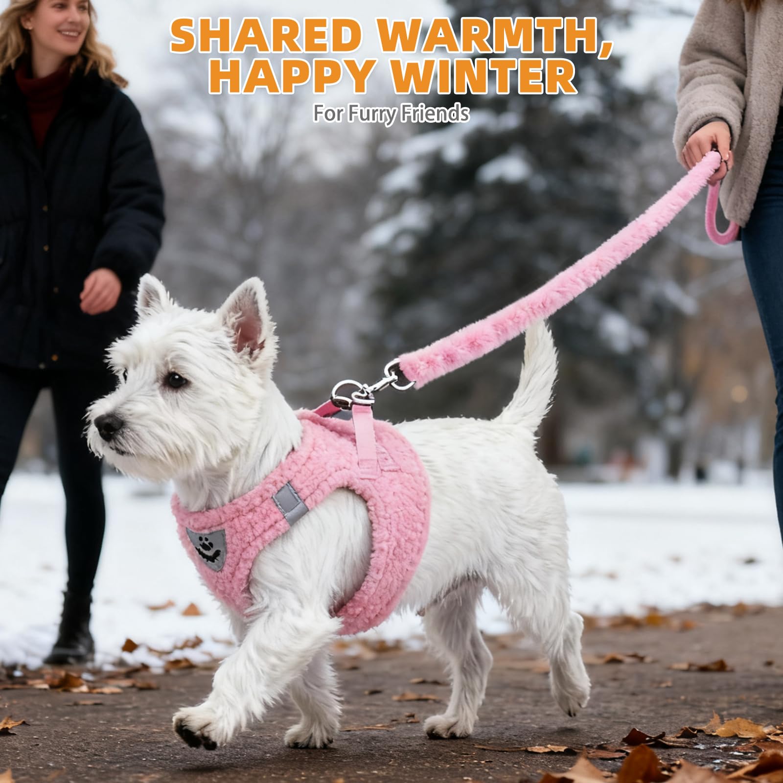 KOOLTAIL lightweight design keeps small dogs moving freely during outings.