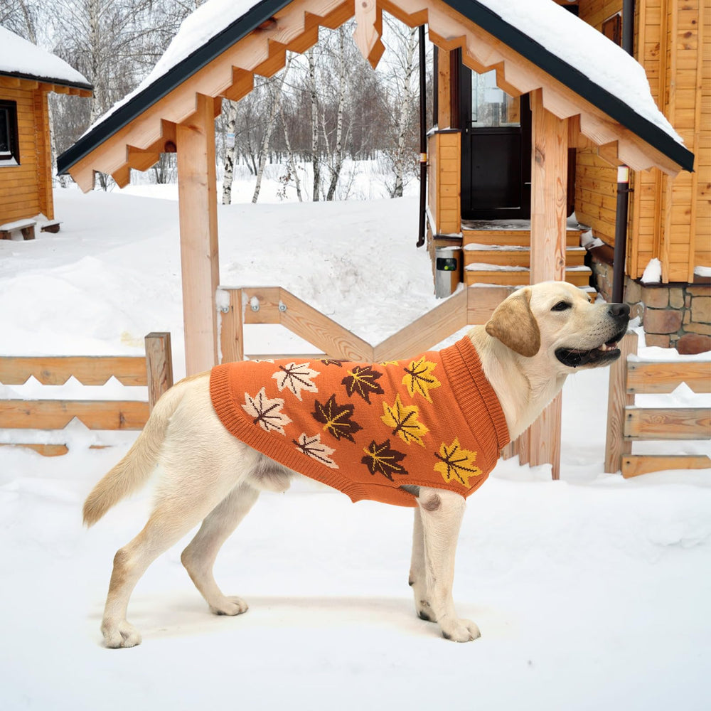 KOOLTAIL maple leaf knit adds festive style for photos and outings