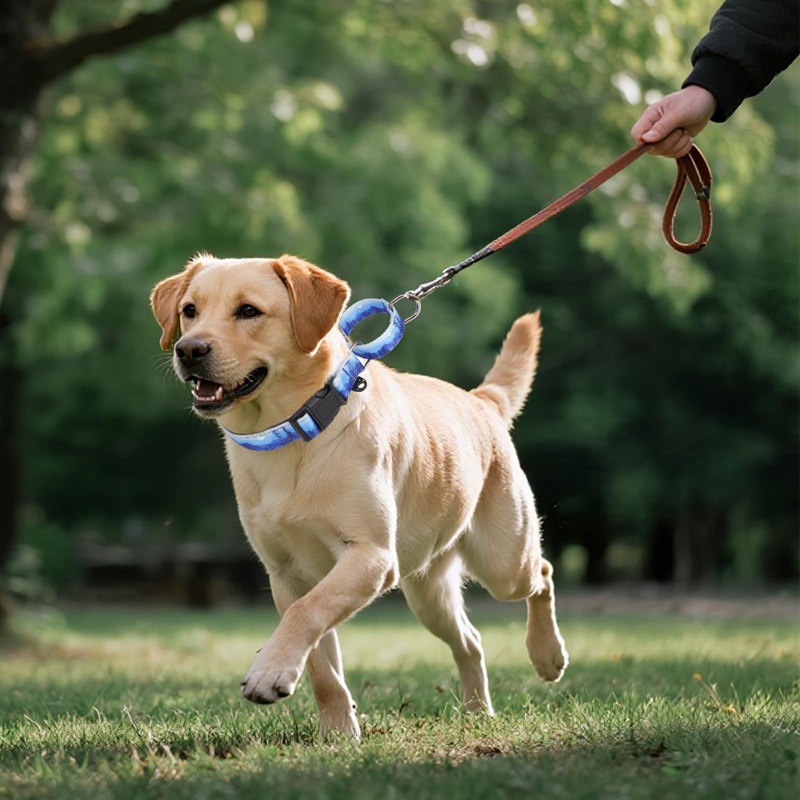 KOOLTAIL martingale collar all-day comfort for everyday walking routines.