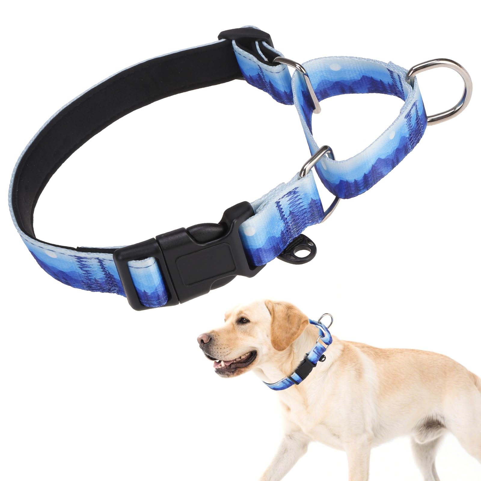 KOOLTAIL martingale collar close-up shows sturdy stitching for durable walks.