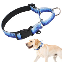 KOOLTAIL martingale collar close-up shows sturdy stitching for durable walks.