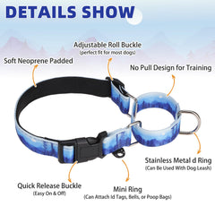 KOOLTAIL martingale collar features reinforced nylon for long-lasting outdoor use.