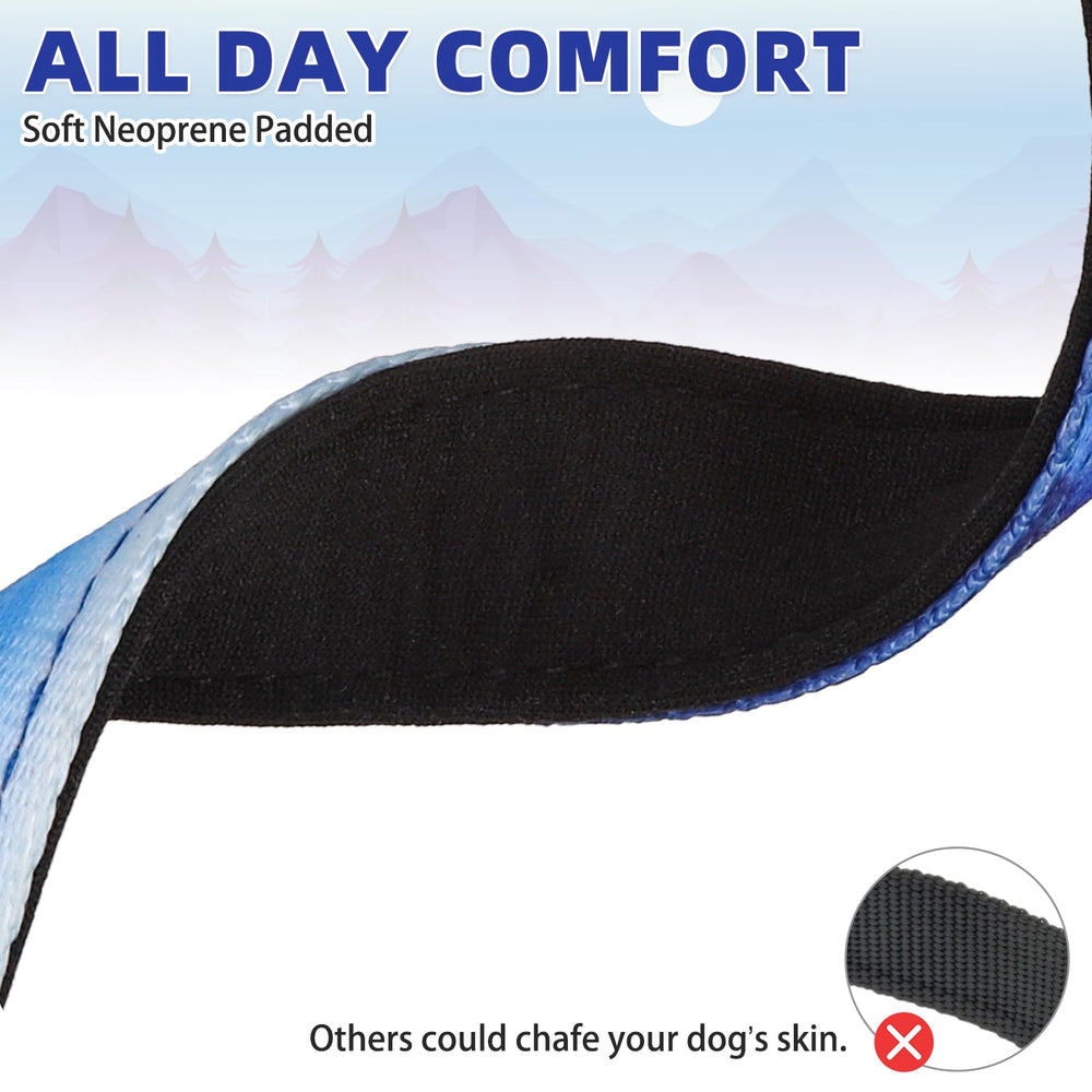 KOOLTAIL martingale collar size chart illustrates fit across small, medium, and large dogs.
