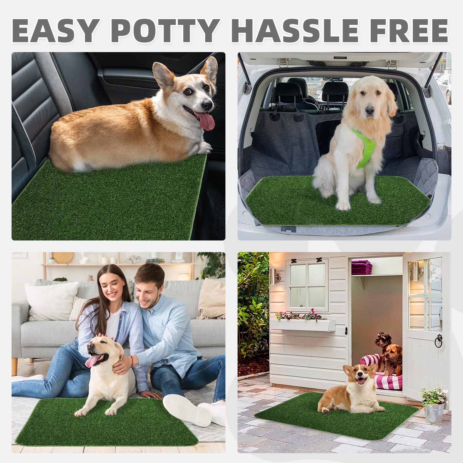 KOOLTAIL non-toxic materials ensure a paw-safe surface for daily use