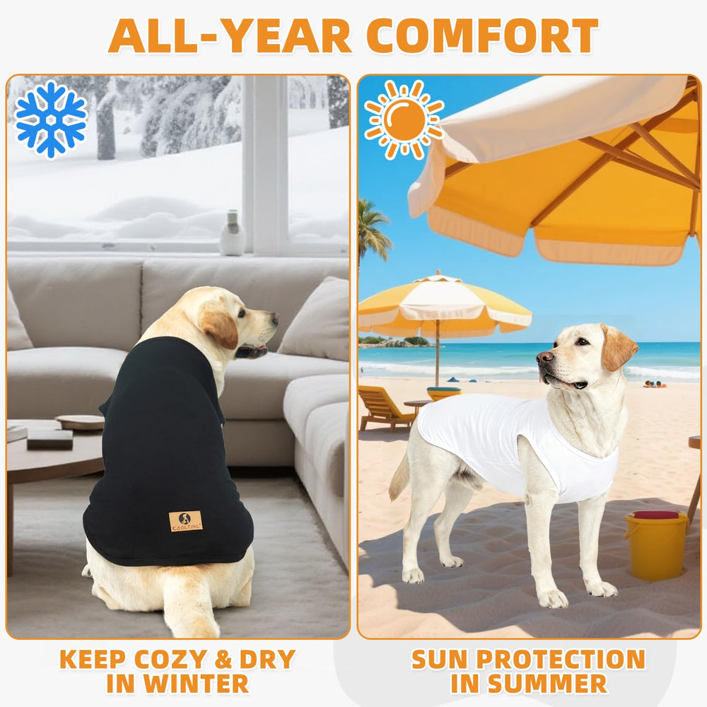 KOOLTAIL outdoor dog wear in use, ready for sunny days with protection