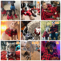 KOOLTAIL plaid dog hoodie red back view highlights snug fit and durable fabric.