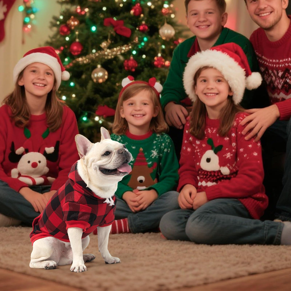 KOOLTAIL plaid dog hoodie red on puppy demonstrates stylish warmth for outings.