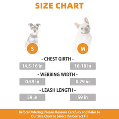 KOOLTAIL plush small dog leash with teddy fleece lining for comfortable daily walks.