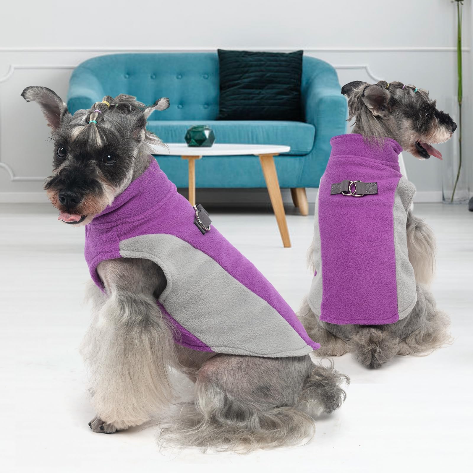 KOOLTAIL purple XL dog coat keeps large dogs warm on chilly days