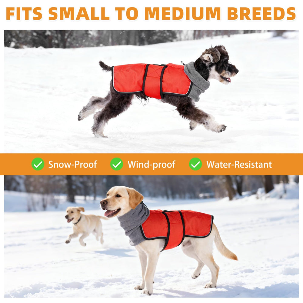 KOOLTAIL cozy fleece lining detail highlights warmth and comfort.