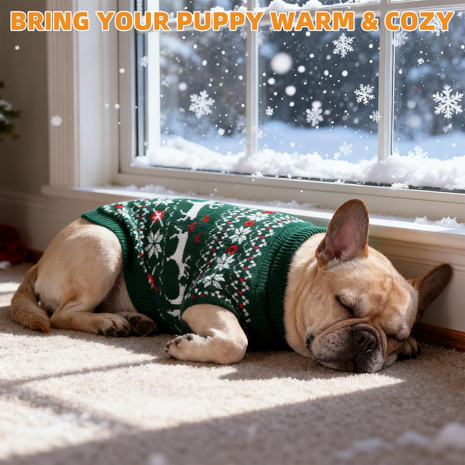 KOOLTAIL size guide visual helps pick the right fit for small to XL dogs.