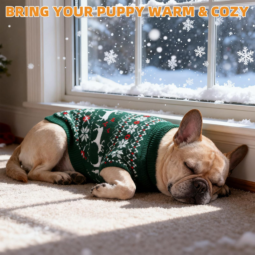 KOOLTAIL size guide visual helps pick the right fit for small to XL dogs.
