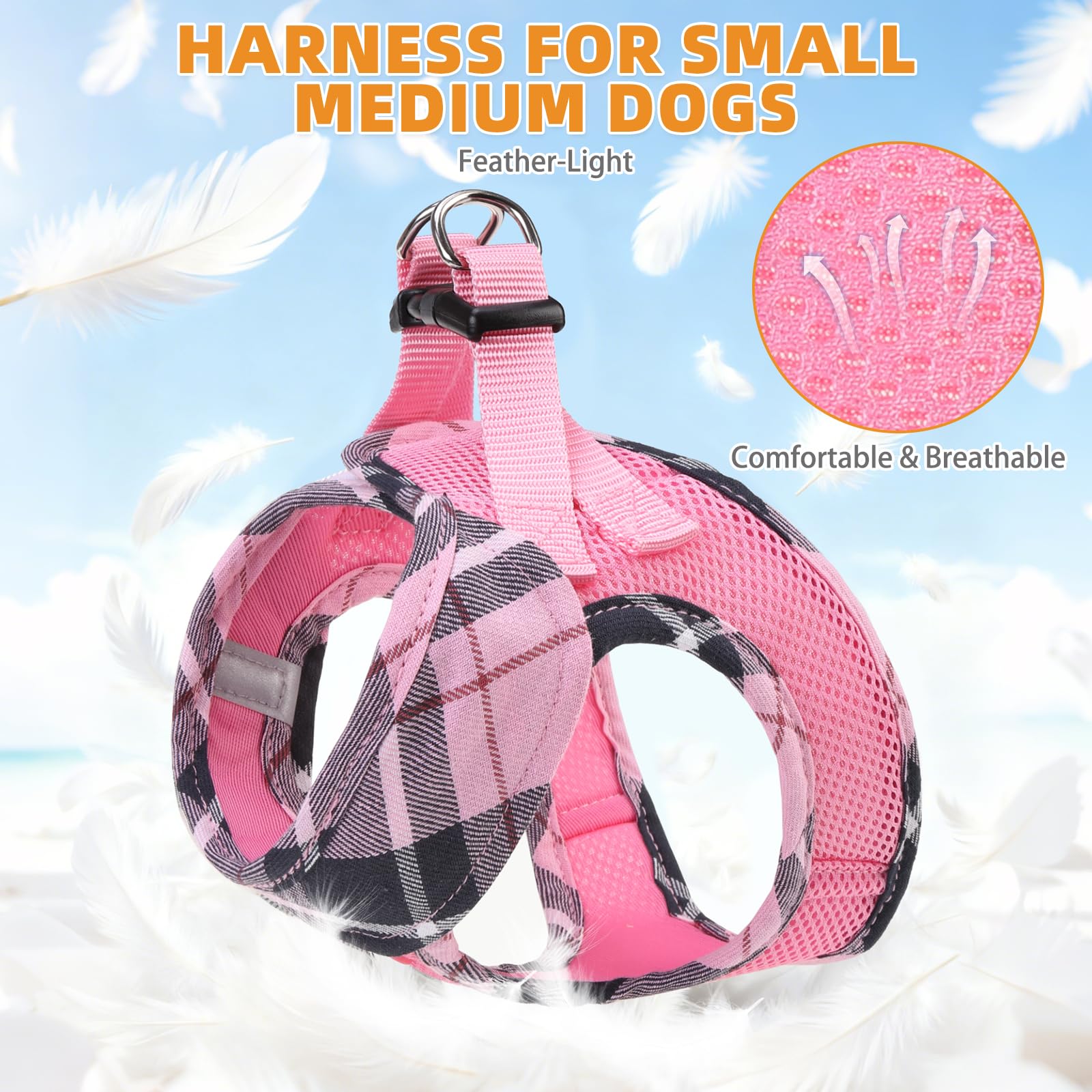 KOOLTAIL harness with 1.5m leash demonstrates versatile outdoor walking setup