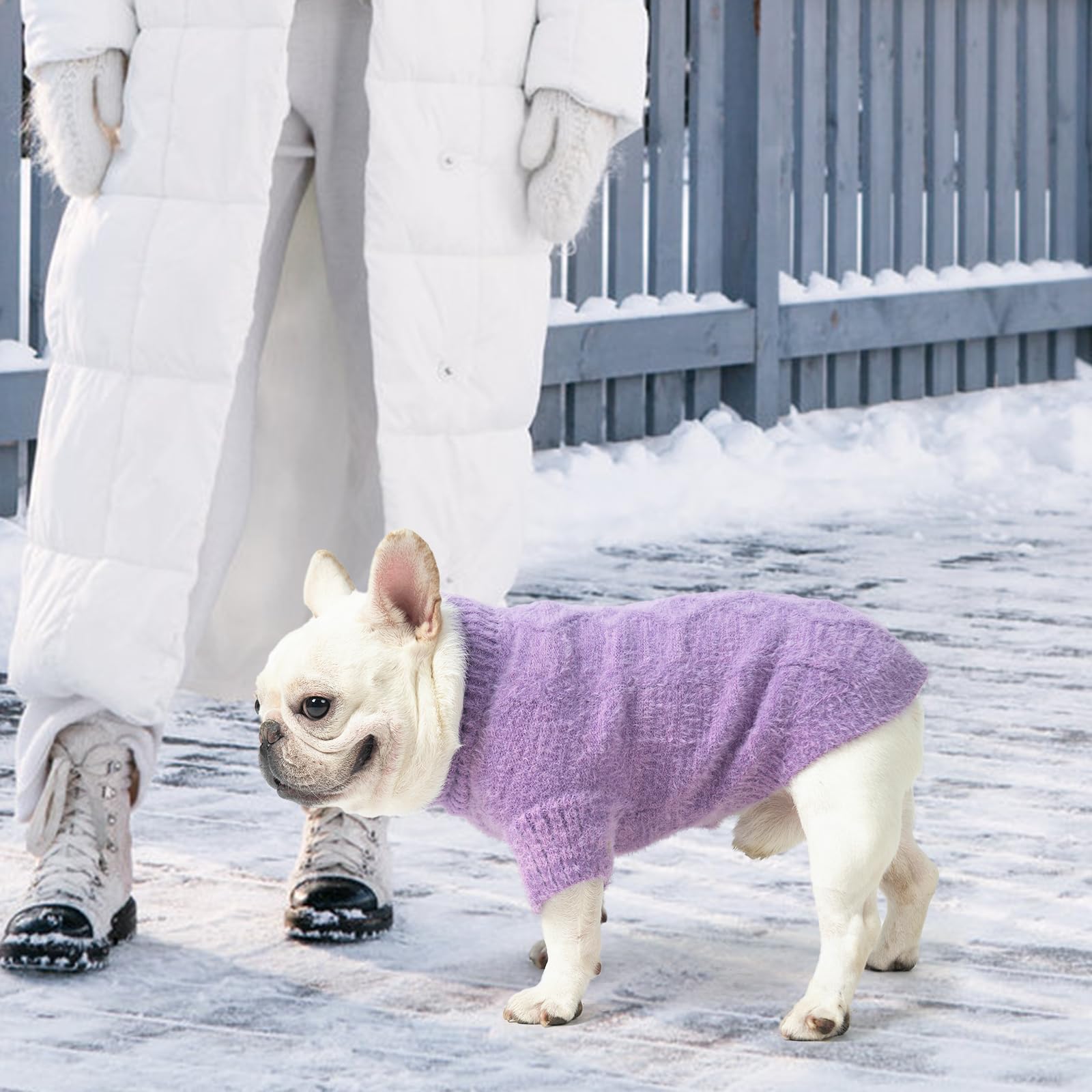 KOOLTAIL small dog sweater care instructions show machine-wash convenience