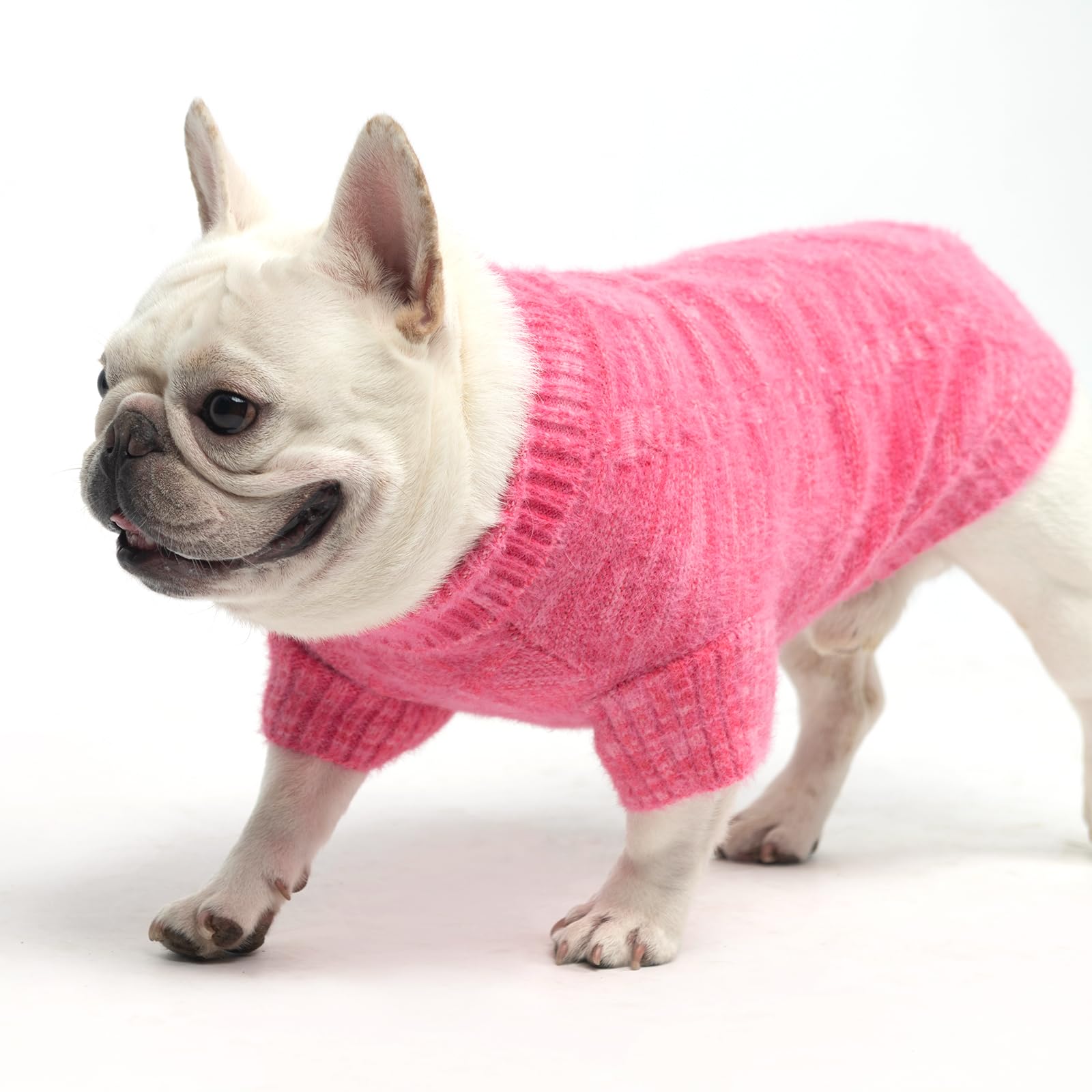 KOOLTAIL small dog sweater chest pattern detail adds chic accent for daily wear