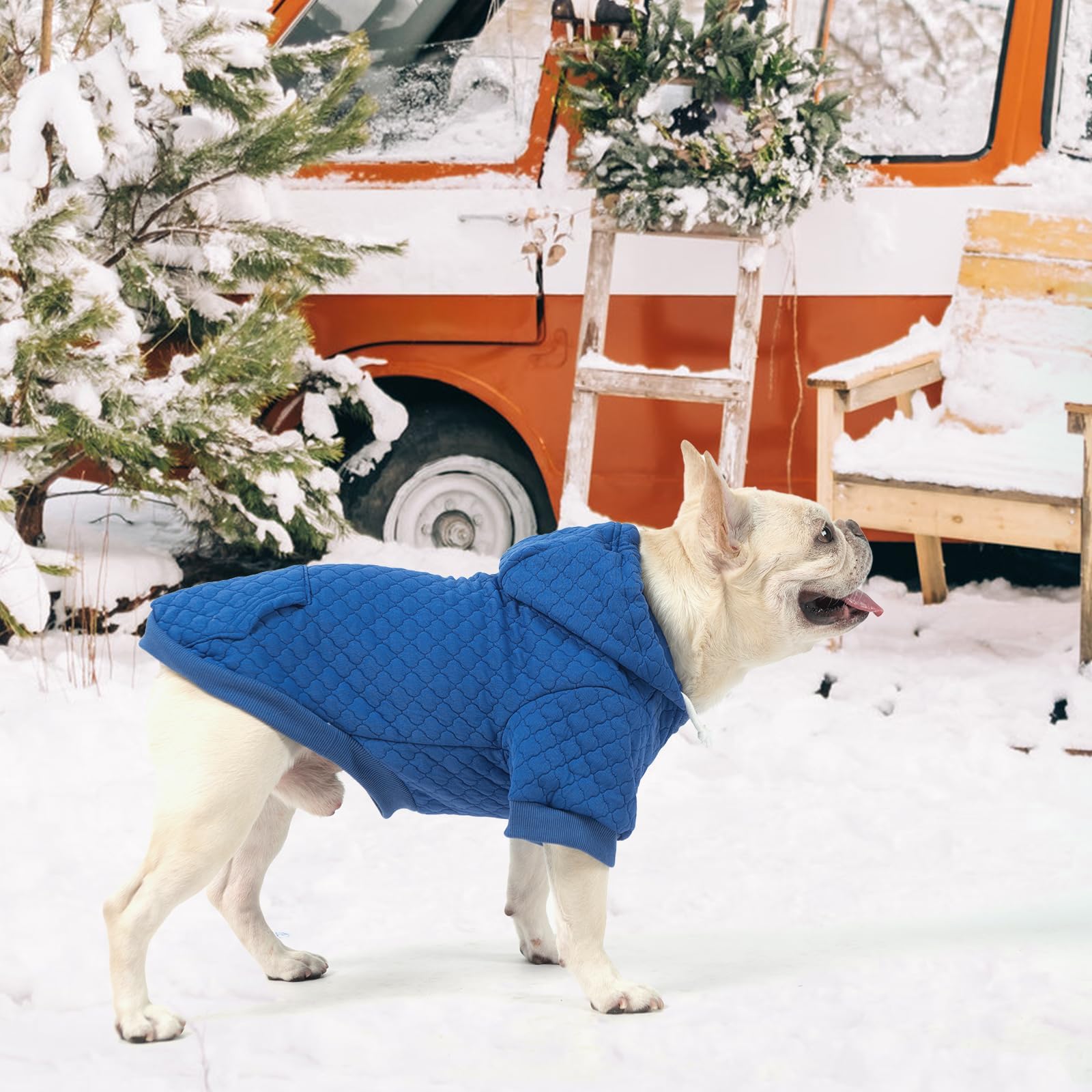 KOOLTAIL small dog sweater easy-on-off design with high belly cut for bathroom breaks.