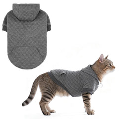 Kooltail small dog sweater gray xxs on dog for cozy warmth on winter walks