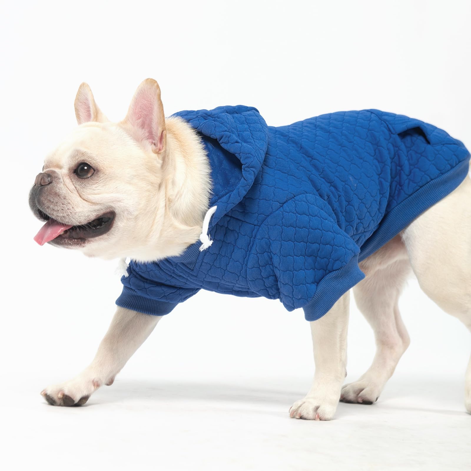 KOOLTAIL small dog sweater machine wash care tag, indicating easy cleanup.