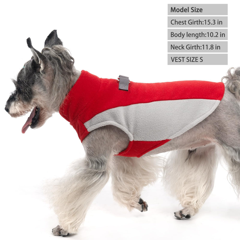 KOOLTAIL Small Dog Sweater worn during a walk demonstrates leash compatibility